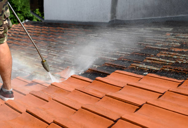 Best Affordable Power Washing  in Red Bay, AL