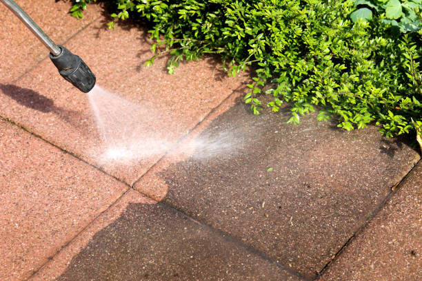 Best Roof Pressure Washing  in Red Bay, AL